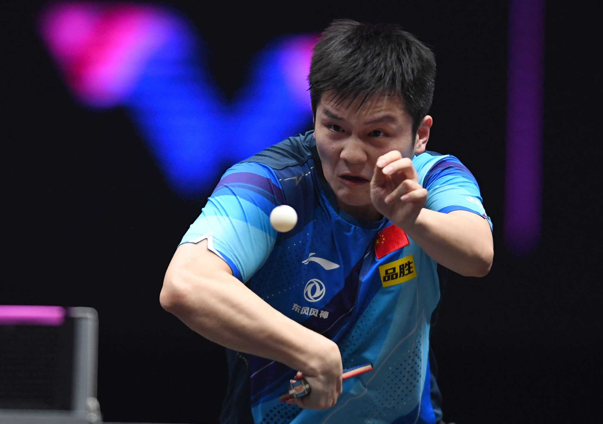 中国乒乓球队横扫波兰乒乓球队，樊振东高光表现的简单介绍