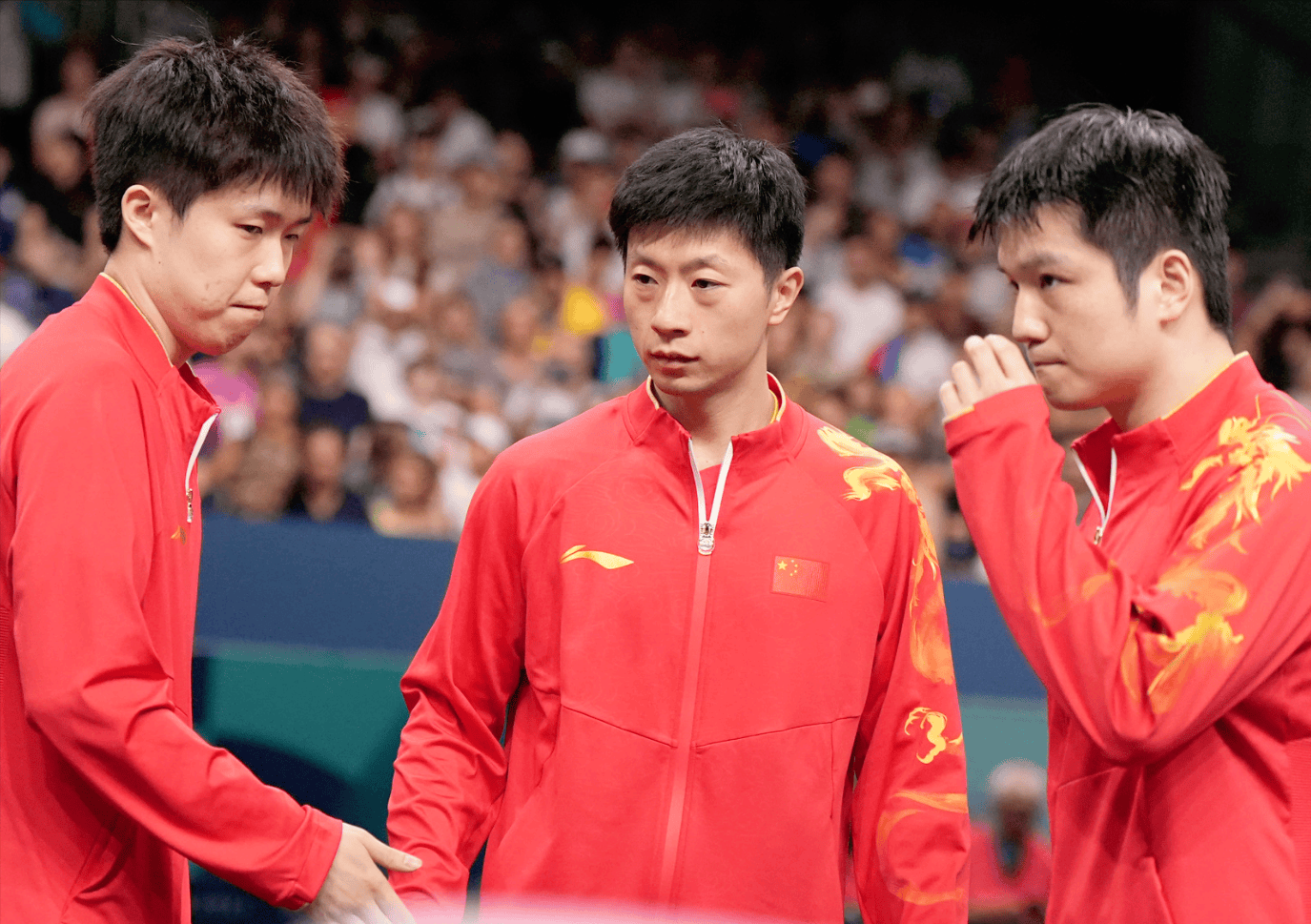 九游娱乐官方-法国乒乓球队力克德国乒乓球队，王皓制霸全场的简单介绍