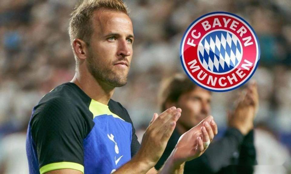 九游娱乐-顷要扬羽起走，击中《热刺》最后一击的简单介绍