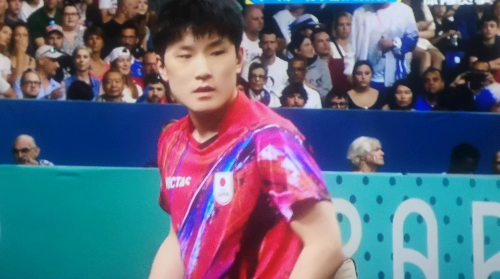 法国队碾压波兰队，张本智和统治全场的简单介绍